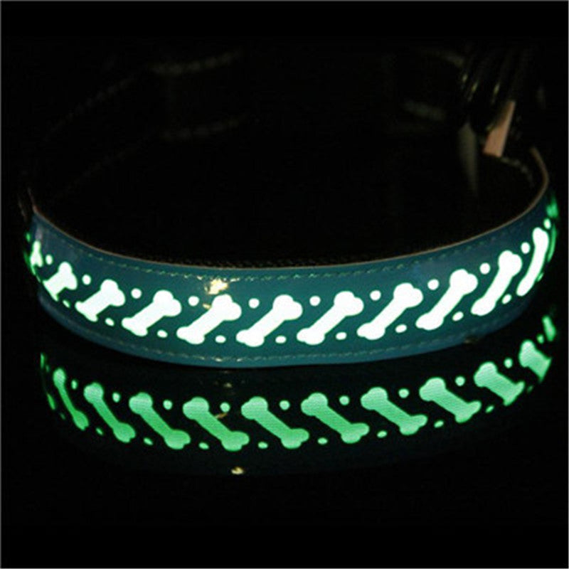 Keep Your Pet Safe and Seen After Dark