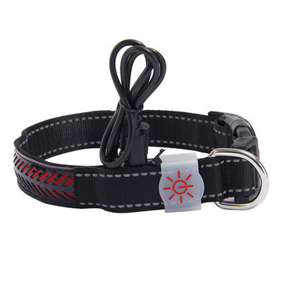 Keep Your Pet Safe and Seen After Dark