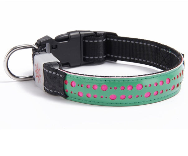 Keep Your Pet Safe and Seen After Dark