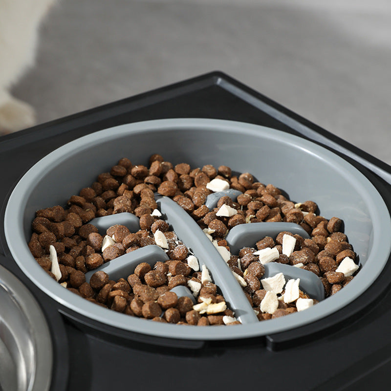 Elevated Dog Bowl for Comfy, Anti-Choke Feeding