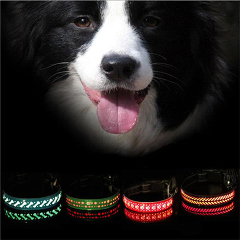 Keep Your Pet Safe and Seen After Dark